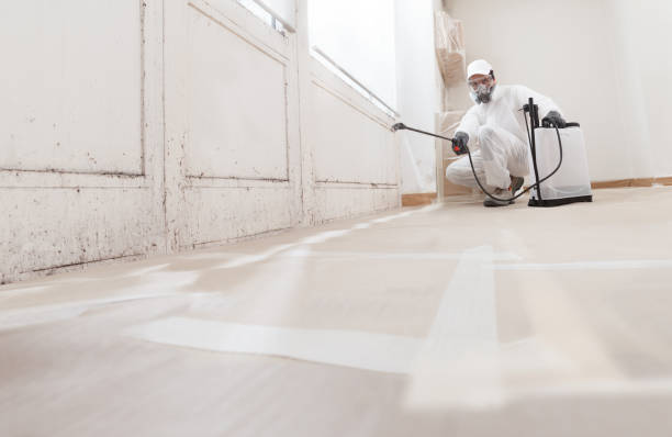 24/7 Emergency Mold Cleanup experts in Apex, NC