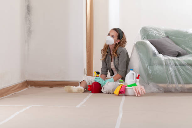 Reliable Mold Cleanup contractor in Apex, NC by Cheap Mold Removal
