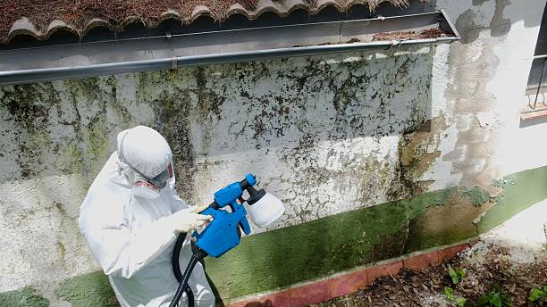 Top rated local Mold Cleanup specialists in Apex, NC